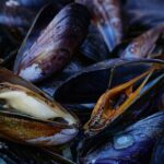 Photo Seafood platter